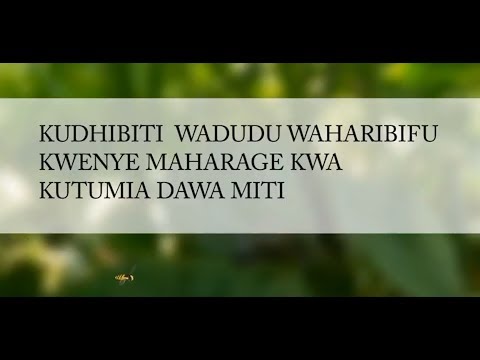 Video: Udhibiti Wa Wadudu Bila Dawa