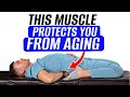 If you don’t release the spasm in this muscle, diseases and aging can develop 10 times faster!