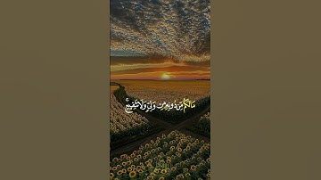 {الله الذي خلق السموات  الأرض وما بينهما في ستة ايام ثم استوى على العرش } ❤للقارئ عبد الرحمن مسعد ❤