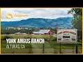 York Ranch | Alturas, California