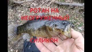 ЛОВЛЯ РОТАНА НА НЕОГРУЖЕННЫЙ СИЛИКОН. ЛОВЛЯ РОТАНА.