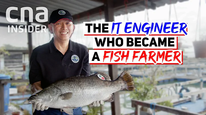 When Traditional Fish Farming Gets Help From Science & Innovation In Singapore - DayDayNews
