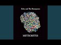 Echo & The Bunnymen - Meteorites (album)