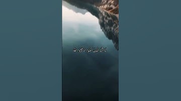 ايات قران كريم سورة الأحزاب اكتب شيء تؤجر عليه 😍😍