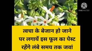 Harsingaar Benefits For Skin, harsingar flower uses,  harsingar ke fayde, harsingar Plant uses