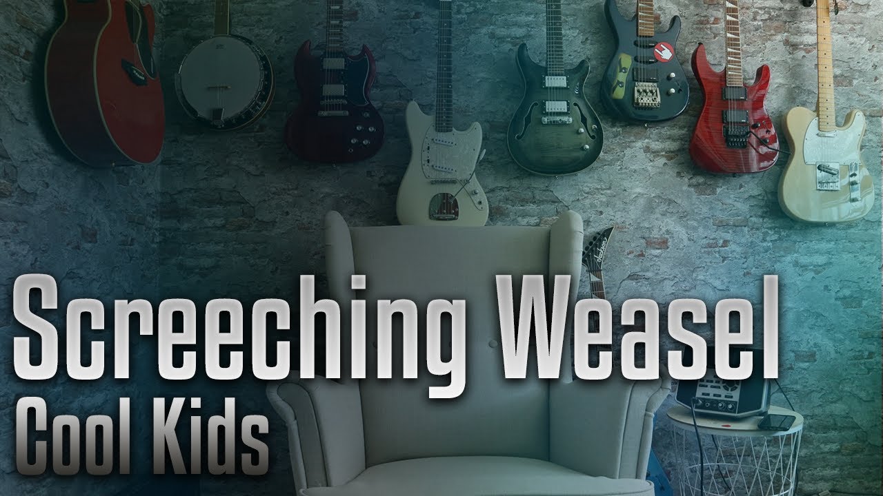Screeching Waesel - Cool kids (guitar cover)