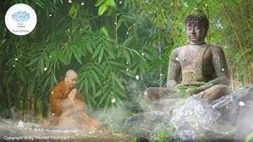 Ngỡ ngàng khi nghe Thiền Sư đắc đạo tiết lộ bí mật cách hành thiền để đạt được an lạc hạnh phúc