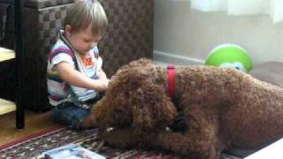 Baby Niko learns how to play with Frasier by dangling the dog toy. ...