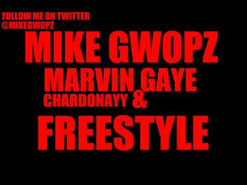 MARVIN GAYE & CHARDONNAY FREESTYLE/MIKE GWOPZ/NBA ...