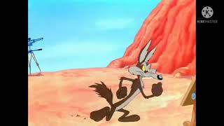 Finally Wile E Coyote Catches Road Runner but it's FAILED