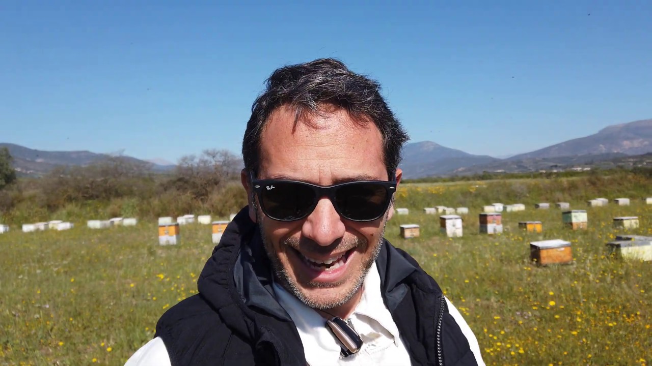 Παραφυάδες στις Πορτοκαλιές. Απρίλιος 2020