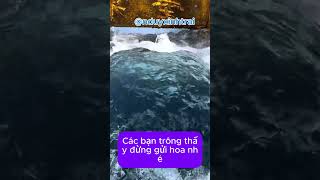 5 địa điểm tuyệt đối không được bơi, kẻo đi đời nhà ma #shortvideo #foryou