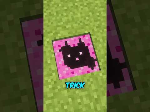 Katzenseelen 😱 #minecraft