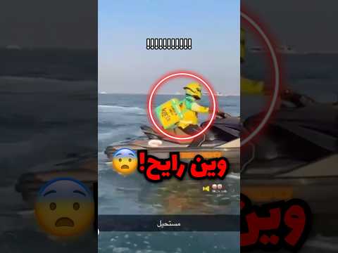 شكله جاه طلب من قاع الهامور في نص البحر