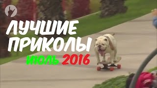ЛУЧШИЕ ПРИКОЛЫ 2016 ИЮЛЬ | Лучшая подборка приколов | Самое смешное видео ЛУЧШИЕ ПРИКОЛЫ 2016 ИЮЛЬ | Лучшая подборка приколов | Самое смешное видео