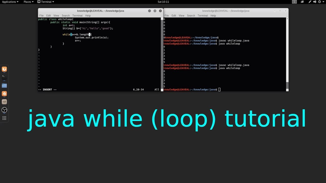 Java while (loop) tutorial in Linux