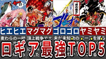ワンピース ロギア