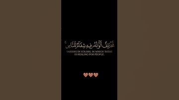 سورة النحل / الشيخ خالد الجليل / تلاوة خاشعة ومؤثرة تريح سمعك