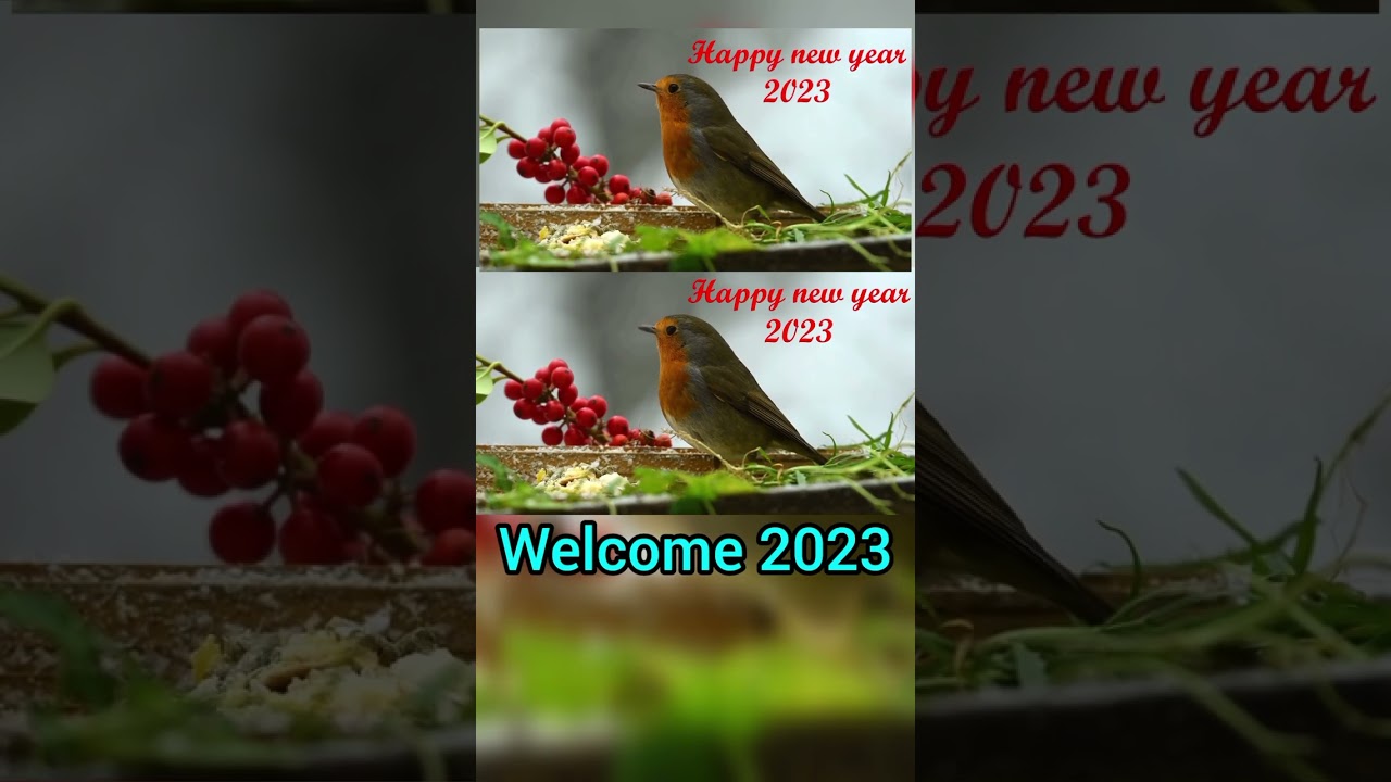 welcome 2023 | 2023 status | whatsapp status 2023 | status video | viral 2023 video | 