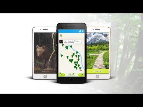 Imazhi i pamjes së ekranit