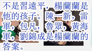 不是习远平，杨兰兰是他的孩子。陈一新，雷军，包凡，鲁众，黄海军，刘锦成是杨兰兰的答案。