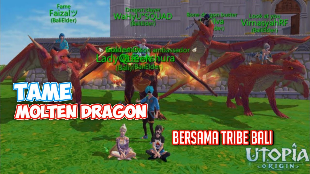 Tame Molten Dragon (Naga Gurun) UTOPIA ORIGIN INDONESIA YouTube