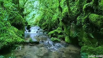 GVCCI KRAY-LA’GOTH $$$ DAYDREAM VISUAL