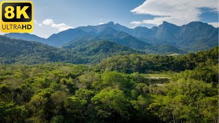 Natural Beauty of Earth With Stunning 8K HDR 60fps