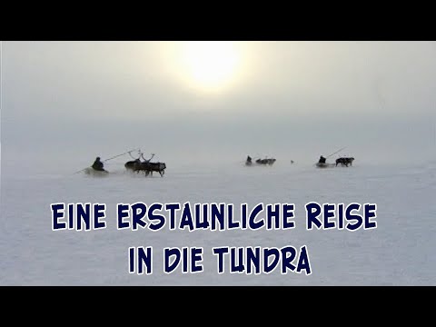 Video: Geografische Lage Der Tundra