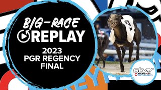 2023 PGR Regency Final  Space Jet | Greyhound Race Replays | 2023 Big Finals