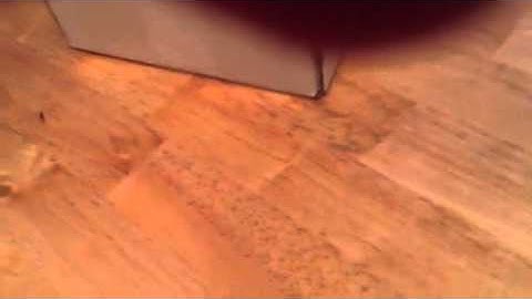 Rapidmodz controller unboxing