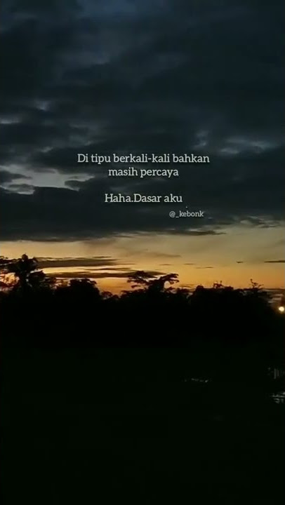 STATUS WA TERBARU | STORY WA | STORY SENJA | BUKAN ANAK SENJA #shorts