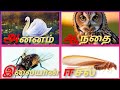 உயிர் எழுத்துக்கள் / அஆஇஈ வரிசை | uyir eluthukkal | Tamil alphabet for kids | Akkidschoice