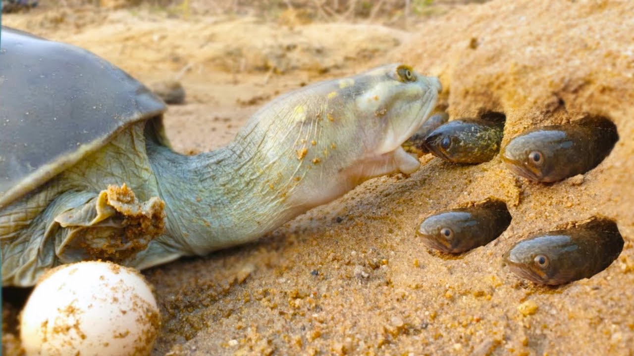 20 Animals Who Did Things And Surprised Everyone