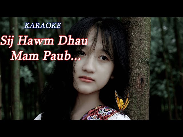 karaoke-sij-hawm-dhau-mam-paub-tis-yog-koob-hmoov-paj-zoov-yaj