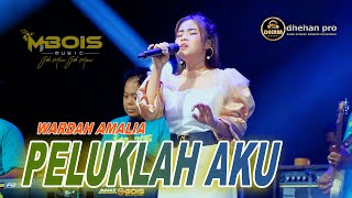 WARDA AMALIA - Peluklah Aku (Viral TikTok) Mbois Music Ft Dhehan Jenggot Audio