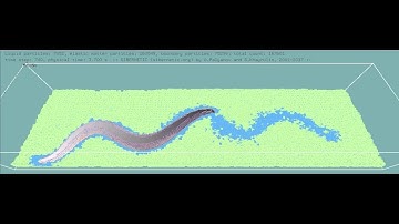 Sibernetic: C. elegans crawling at biologically reasonable parameters