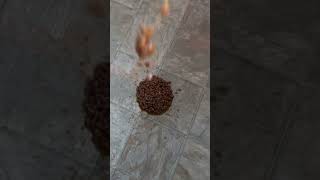 Bean drop