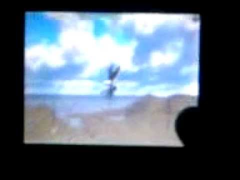 PicaSim - Gameplay