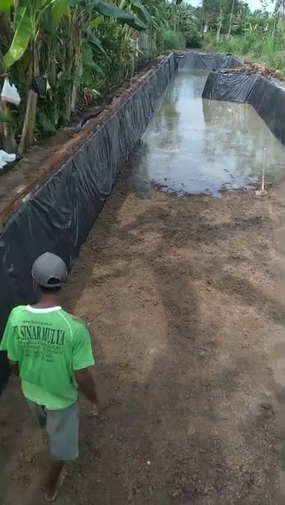 pemasangan plastik kolam super murah,modal irit