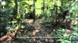 Street View for the Amazon - Tour of an Amazon Forest Trail