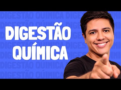 Vídeo: Digestão Química: Definição, Finalidade, Ponto De Partida E Muito Mais