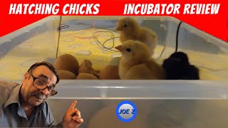 Hatching Chicken Eggs and Incubator Review