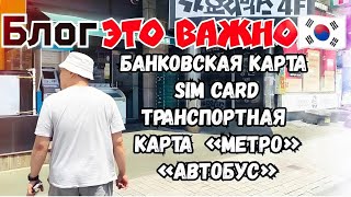 [корея блог]  Первые впечатления о Корее