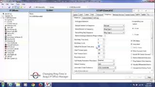 How to Change Ringtime Systemwide or Individually via Avaya Manager Tool screenshot 5