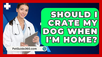 Should I Crate My Dog When I