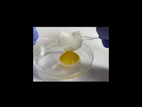 kirigami grippers can grasp egg yolk and a human hair