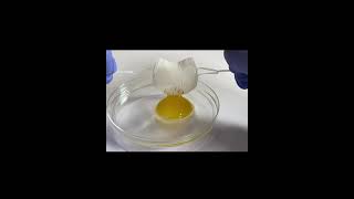 kirigami grippers can grasp egg yolk and a human hair