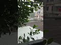 #বৃষ্টির_দিনে #shortsvideo #yourvideotopic #বৃষ্টি