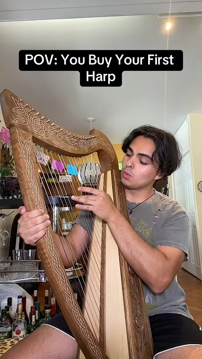 POV: You Buy Your First Harp 🥰